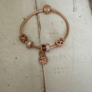 Pandora bracelet with charms